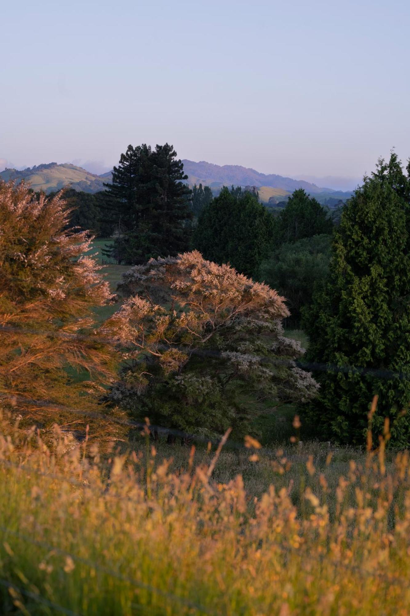 Ranginui Retreat Villa Мастъртън Екстериор снимка
